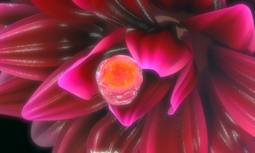 come capire quando si ovula