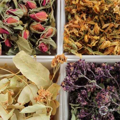 fitoterapia e ciclo mestruale